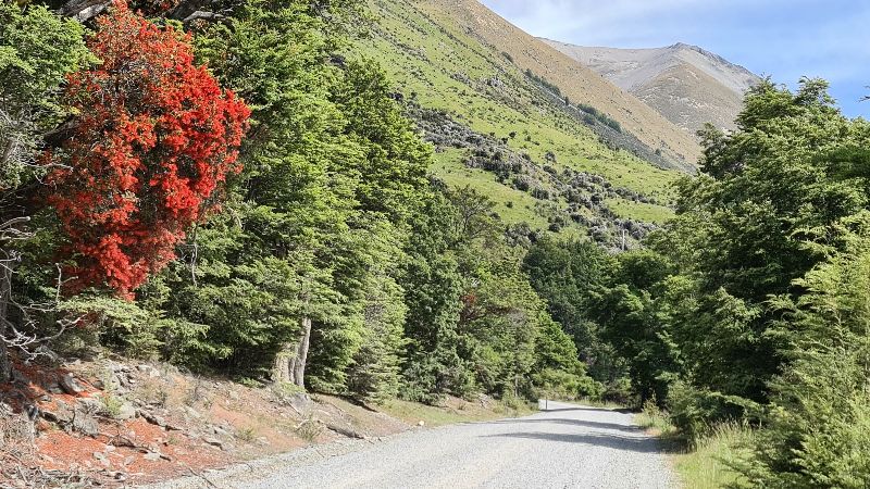 Omarama Gazette Latest Issue